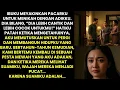 Download Lagu IBUKU MEREBUT PACARKU UNTUK MENIKAH DENGAN ADIKKU - KUPUTUSKAN UNTUK PERGI, BERTAHUN KEMUDIAN...