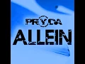 Pryda - Allein (DJ Pacecord 2018 Reconstruction)