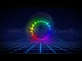 Download Lagu HAMZA - TOXIC (slowed)