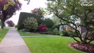 لو علمت الدار بمن زارها فرحت أصيل هميم 