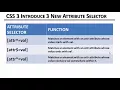 CSS Introduction Attribute Selector In Hindi Urdu