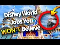 Disney World Jobs You WON T Believe are REAL