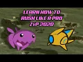 Learn How to Rush like a PRO ZvP 2020