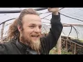 Download Lagu Voor het eerst in 4 jaar || Permacultuur in Zweden VLOG 196
