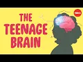 Download Lagu What sex ed doesn’t tell you about your brain - Shannon Odell