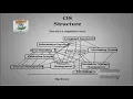 Operating Systems Tutorial-5 Distributed Systems Computing Environments Dr SambasivaRao Baragada