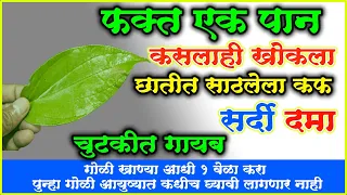 फक्त 1 पान यापद्धतीने खा कसलाही खोकला सर्दी कफ acidity चुटकीत गायब आयुर्वेदातील सर्वात जबरदस्त उपाय