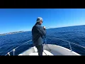 Slow jigging en Méditerranée