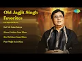 Download Lagu Jagjit Singh | He Ram He Ram | Koi Yeh Kaise Bataye | Shree Krishna Nam Dhun