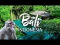Download Lagu 1 Million Views! EPIC Jungle Villa in Bali, left me Speechless!