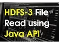 FS java API - How file read happens in Hadoop