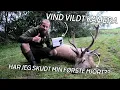 Lagu VIND LIVE PANORAMA KAMERA!!!! // NATURNØRD 695