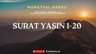 Download Surah Yasin 1-20 | Muzammil Hasballah [ Merdu, Latin, dan Terjemahan ] MP3