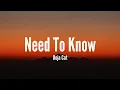 Download Lagu Doja Cat - Need To Know (Lyrics)
