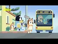 🕺 Dance Mode | Bluey | Disney Kids