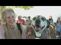 Dog owners must purchase new dog licenses in January
