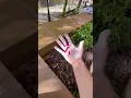 Download Lagu Parkour gone WRONG🤕 #shorts #viral