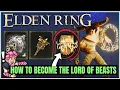 This Hidden Weapon Ash of War is INCREDIBLE - All 9 Deathroot Location Rewards