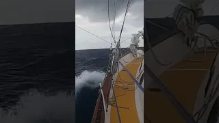Sounds of Wind & Sea 🌊
