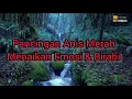 Download Lagu Terapi Burung Anis Merah Untuk Menaikan Emosi \u0026 Birahi.