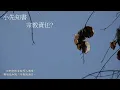Download Lagu 靈修:小先知書-宗教責任? 20250911
