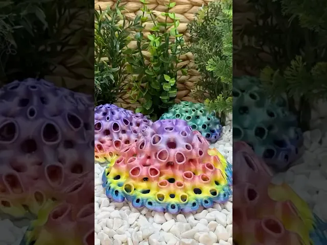 Sponge Blobs video thumbnail
