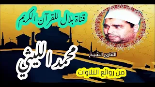 الشيخ محمد الليثى وما تيسر من سورة طه دندنها