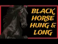 From Average to BEAST Long Hung Male Enhancement Subliminal Huge Python Energy