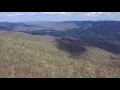 Spring on Holston Mountain in Northeast Tennessee