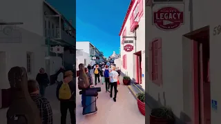 Day 2 of our St Augustine dog-friendly family vacation