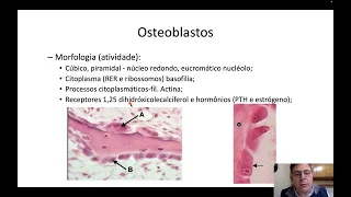 Histologia do tecido ósseo 01 - características gerais, matriz e células