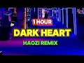 Lagu [1Hour] Dark Heart (Haozi Remix Tiktok 2024) 越南鼓 || Hot Trend Tiktok Douyin