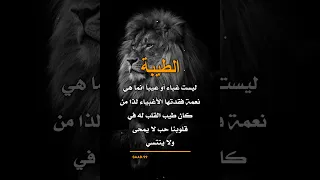 خواطر الطيبة ليست غباء أو عيبآ 