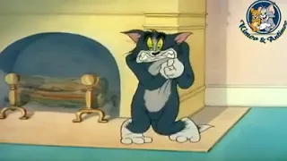 حالات واتس الواد قلبه بيوجعه وعايز حط يدلعه توم وجيري   دندنها
