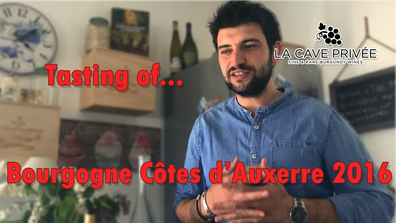 Tasting of Bourgogne Côtes d’Auxerre 2016 // La Cave Privée