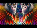 Download Lagu Mekkanikka \u0026 Audiosonic - Monkeys Get Drunk