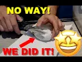 WORLDS FIRST Ball Python Egg Cutting