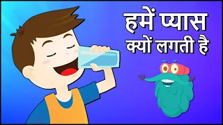 Why Do We Drink Water In Hindi | Dr. Binocs Show | Importance Of Water | Rajshri Kids
