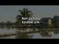 Download Lagu Ikan Gantung Kucing bengong Karaoke