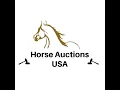 Guy Bynum Livestock - Attalla Alabama