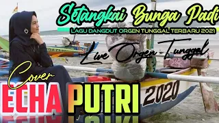 Download Setangkai Bunga Padi - Cover Echa Putri - Lagu Dangdut Orgen Tunggal KN 7000 MP3