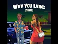 Why You Lying