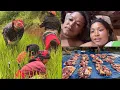 Download Lagu Ekthal khayra lagiyo duty tira😂hamro buda budiko para🤞#siruthapamagar #villagelife #vlog 