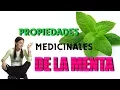 Download Lagu Propiedades Medicinales De La Menta, Los Beneficios Curativos Para Tu Salud de la Menta Piperita