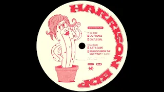 harrison bdp u0026 djoko bad boys from the milky way dsd037 