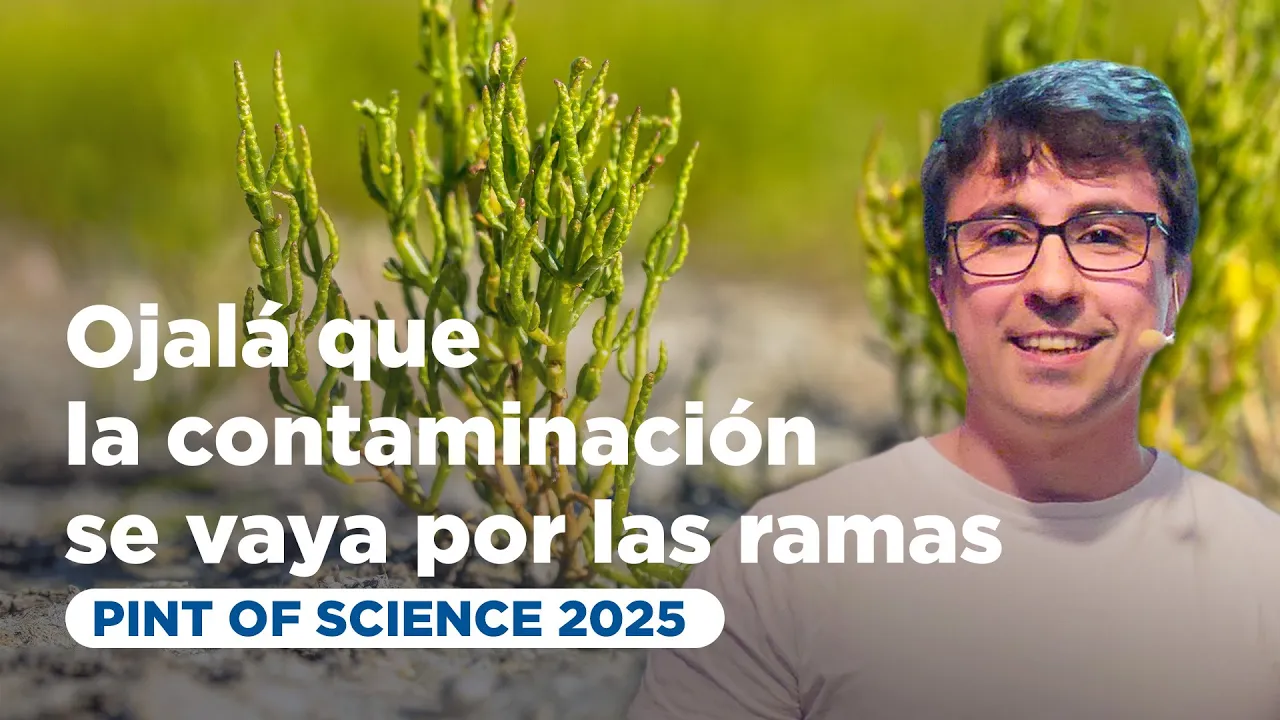 Ojalá que la contaminación se vaya por las ramas | Plantas para descontaminar | Alberto Soto Cañas