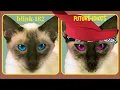 Blink 182 - Wasting Time (cover by Marius Paxcow)