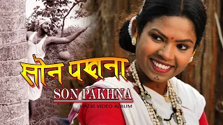 Download Son Pakhna | New Halbi Song | G. Sambhav \u0026 Urwashi | Gopal Poyam | हल्बी गाना MP3