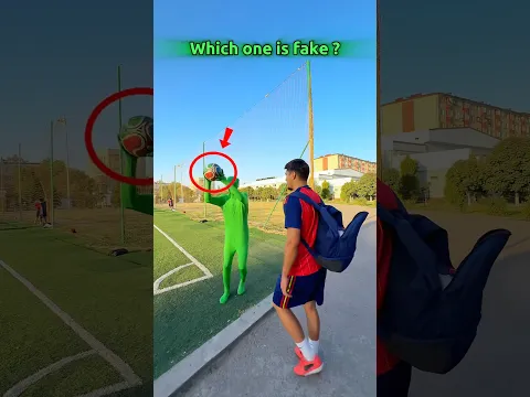 Which one is fake ?