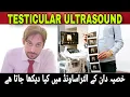 Testicular Ultrasound Testicular Ultrasound Preparation